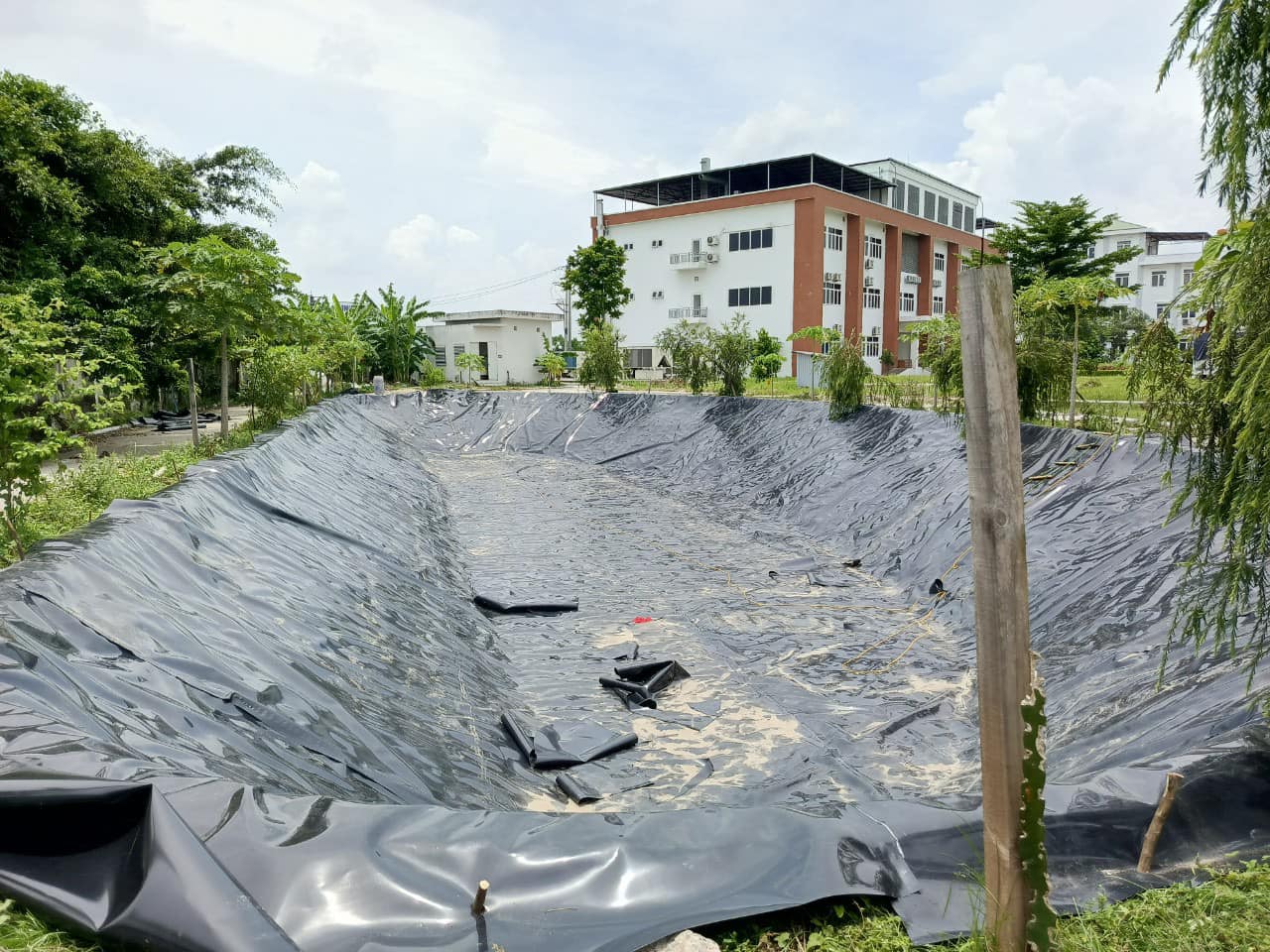 Bạt lót hồ trữ nước HDPE tưới cây ở Gia Lai Bạt lót hồ trữ nước HDPE tưới cây ở Gia Lai