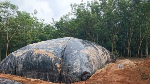 Bạt nhựa HDPE lót hầm Biogas