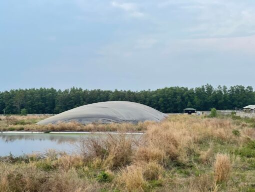 Bạt nhựa HDPE lót hầm Biogas