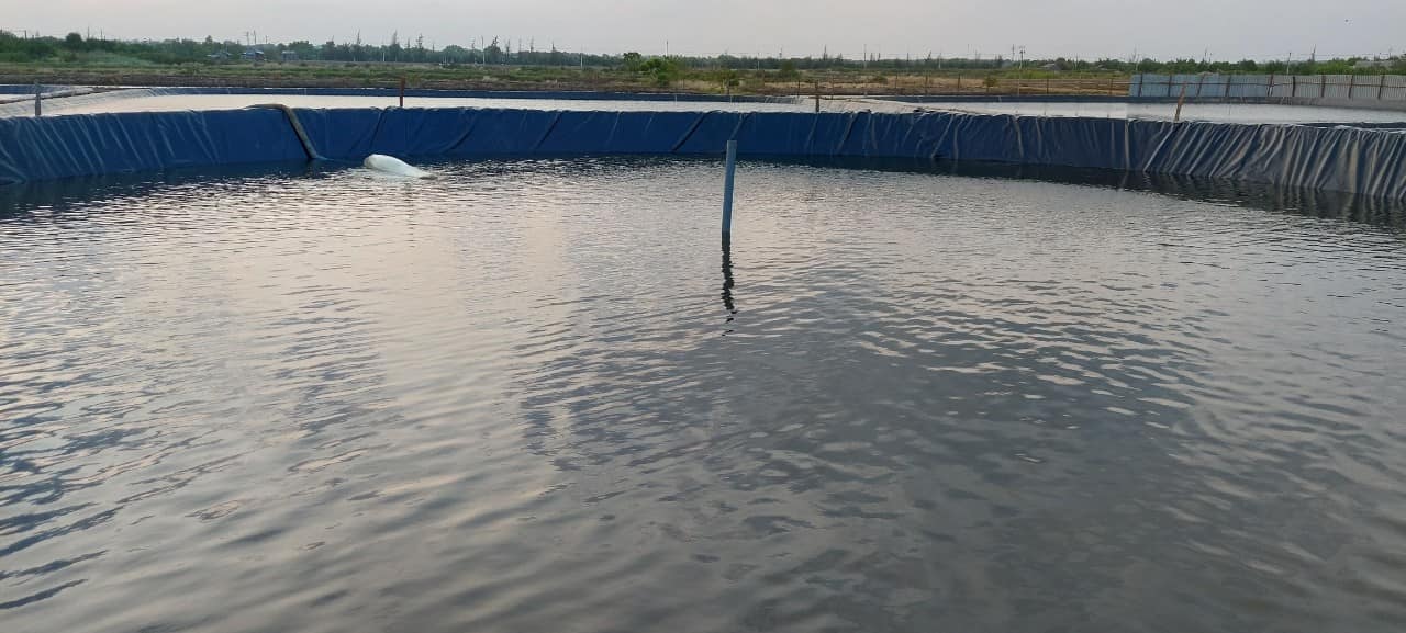 Bạt lót ao hồ hdpe chứa nước nuôi tôm cá ở Phú Yên Bạt lót ao hồ hdpe chứa nước nuôi tôm cá ở Phú Yên