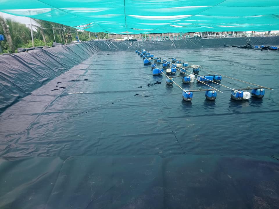 bạt lót ao hồ chống thấm nước hdpe