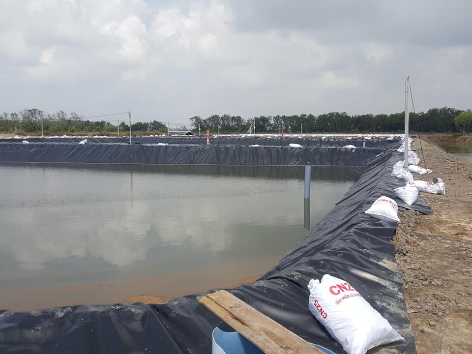 Công trình lót hồ nuôi tôm bạt HDPE