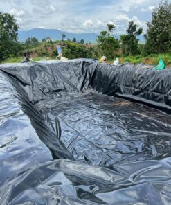 Bạt lót hồ sen, hồ súng HDPE