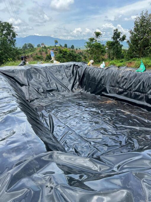 Bạt lót hồ sen, hồ súng HDPE