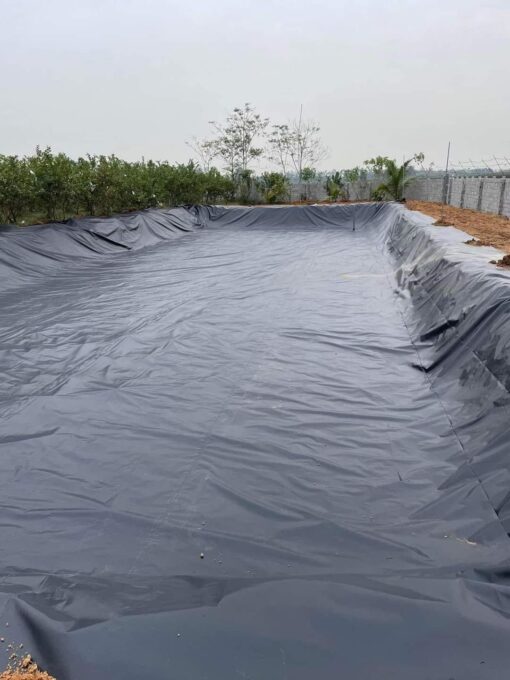 Bạt lót hồ sen, hồ súng HDPE