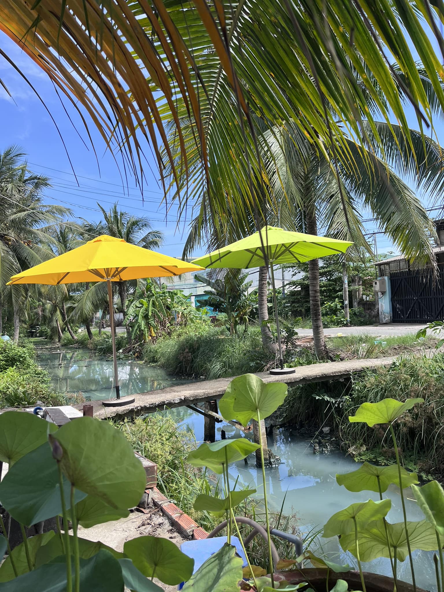 Ô dù che nắng chính tâm ở Nha Trang Ô dù che nắng chính tâm ở Nha Trang