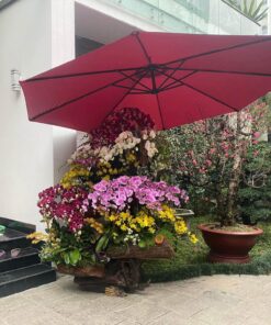 Dù lệch tâm tròn 3m nhập khẩu, móc câu nghiêng 180 màu đỏ
