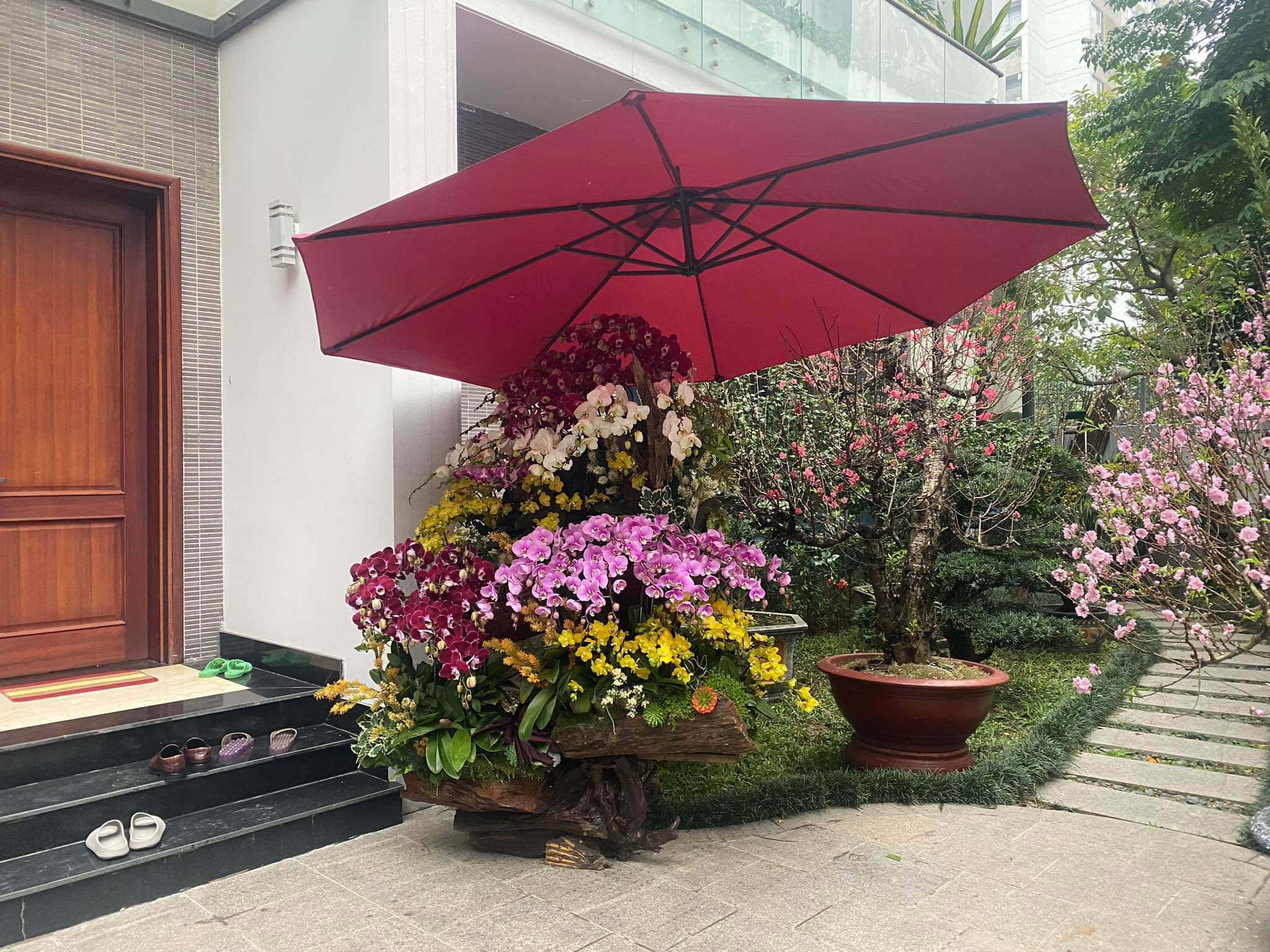 Dù lệch tâm tròn 3m nhập khẩu, móc câu nghiêng 180 màu đỏ Dù lệch tâm tròn 3m nhập khẩu, móc câu nghiêng 180 màu đỏ