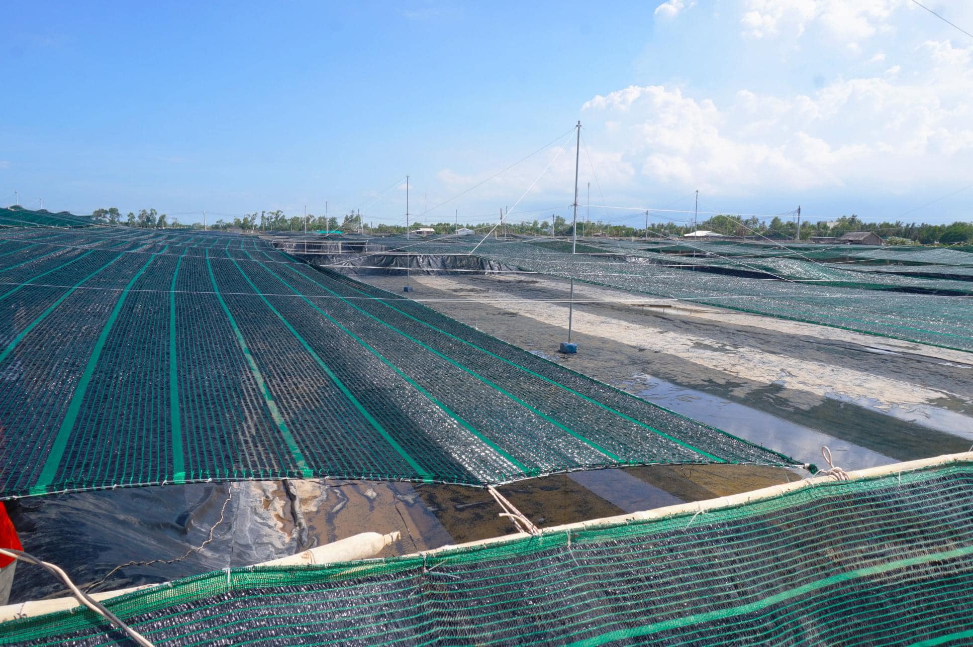 Lưới che nắng ngoài trời ở Hưng Yên