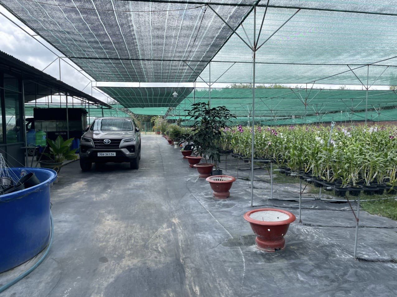 Lưới lan che nắng trồng rau