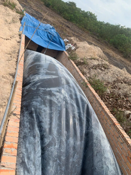 Túi Biogas HDPE Kích Thước Vừa (Trang Trại Nhỏ và Vừa)