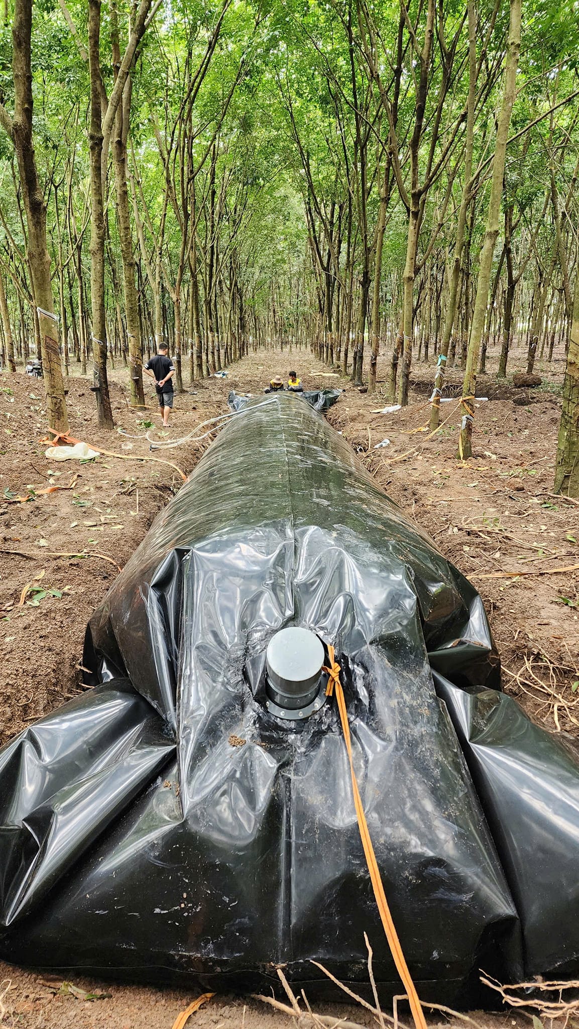 Túi bạt biogas HDPE Túi bạt biogas HDPE
