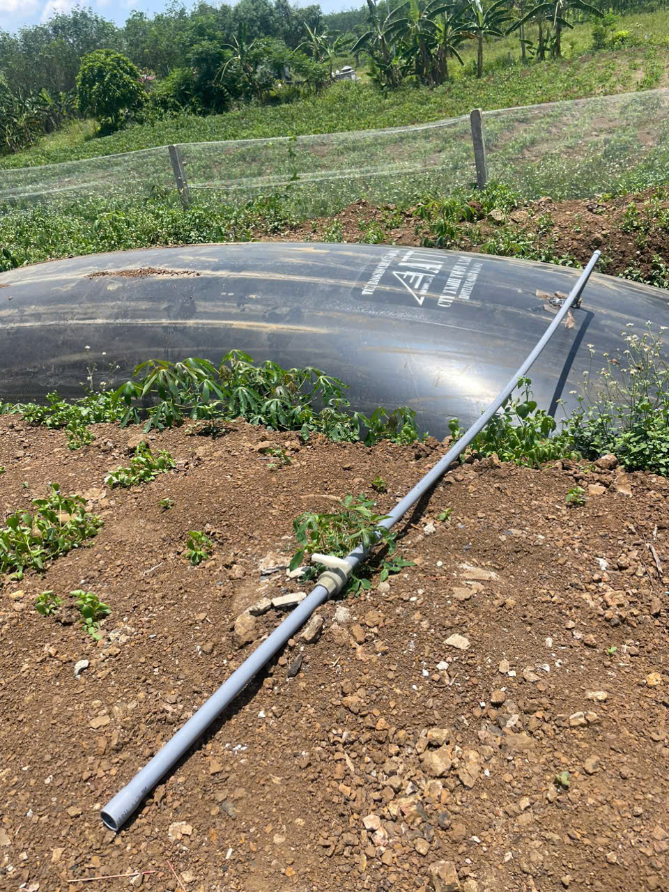 Bạt HDPE lót hầm Biogas