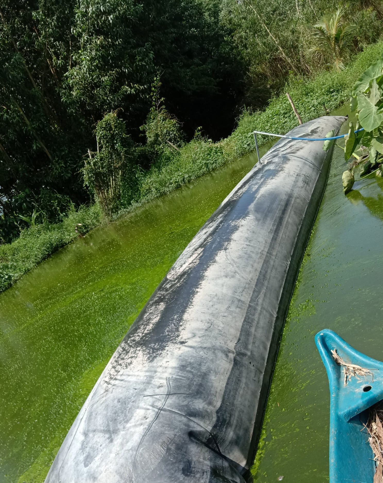 Túi bạt Biogas HDPE trên nước