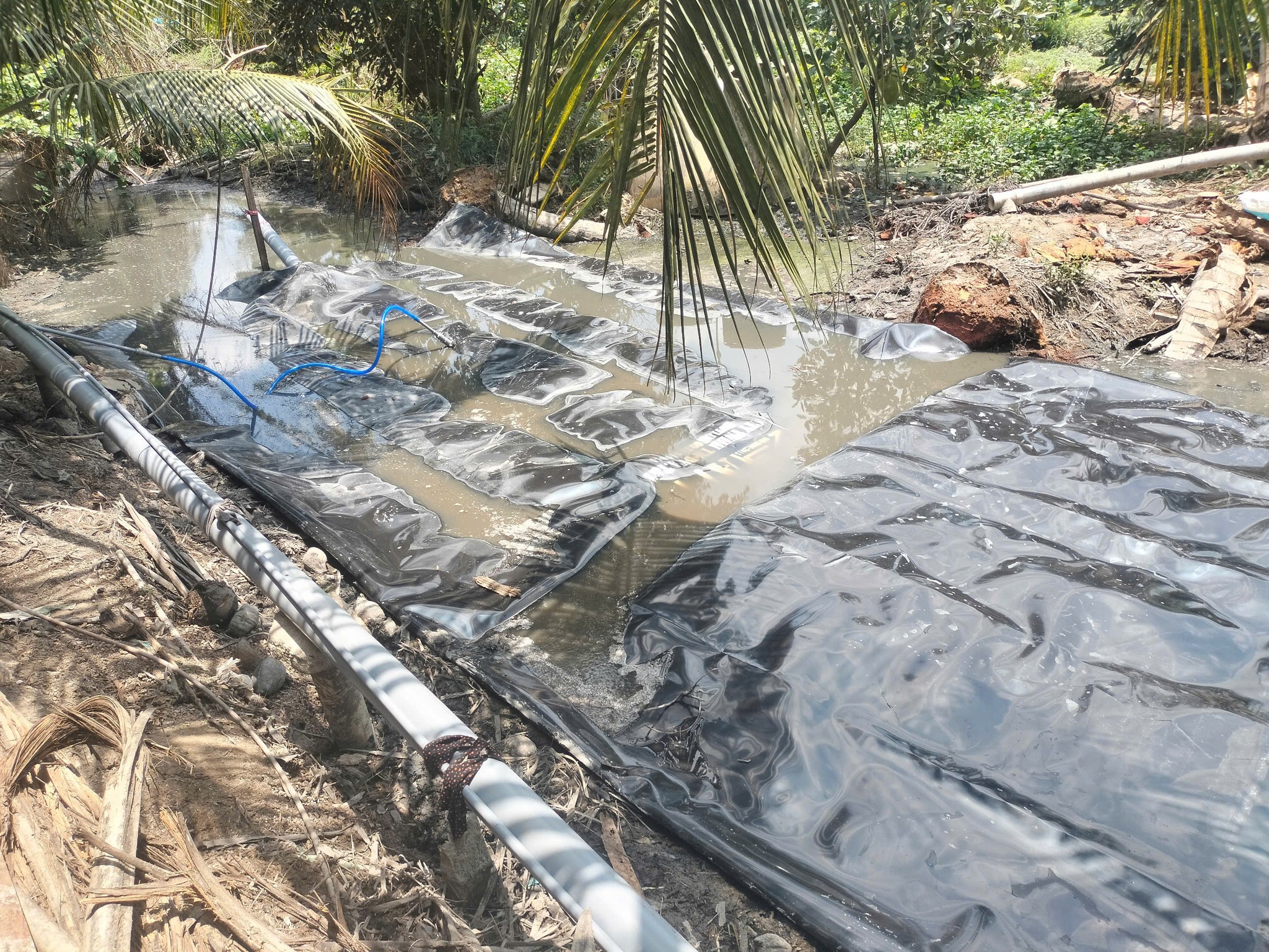 Thế Giới Bạt Che là lựa chọn hàng đầu cho việc thi công hầm Biogas bằng màng (bạt) HDPE Thế Giới Bạt Che là lựa chọn hàng đầu cho việc thi công hầm Biogas bằng màng (bạt) HDPE