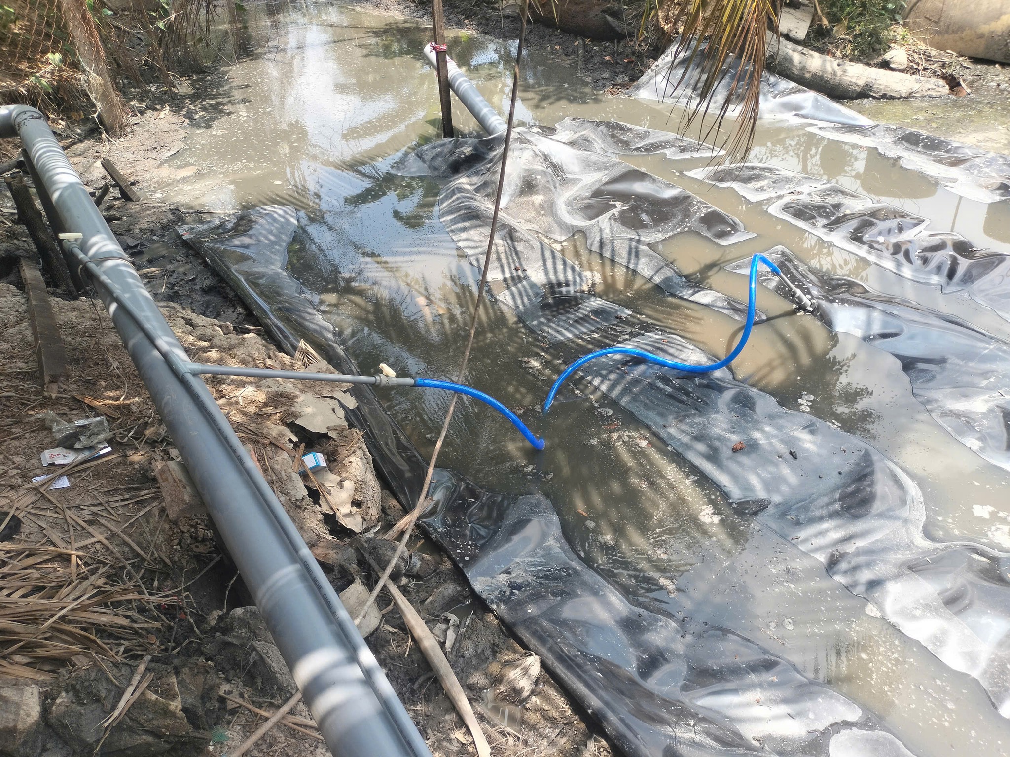 Thế Giới Bạt Che là lựa chọn hàng đầu cho việc thi công hầm Biogas bằng màng (bạt) HDPE Thế Giới Bạt Che là lựa chọn hàng đầu cho việc thi công hầm Biogas bằng màng (bạt) HDPE