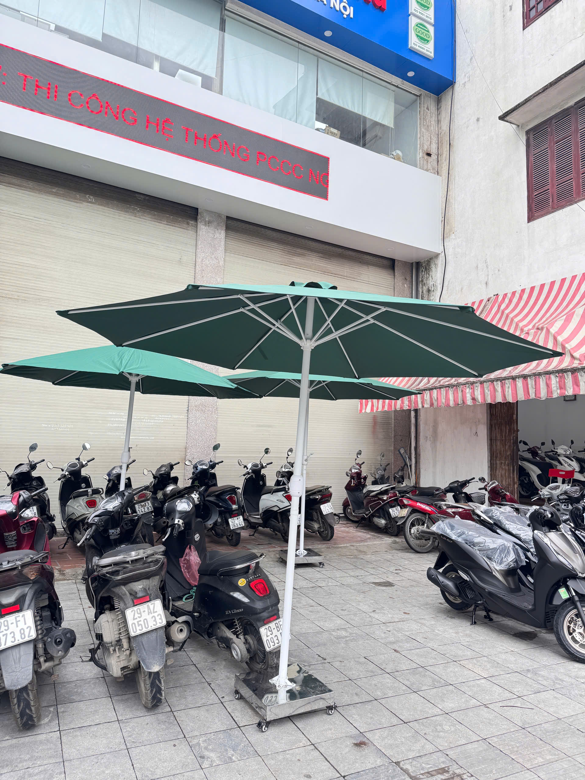 Ô dù đúng tâm tròn 3m ở Ninh Bình
